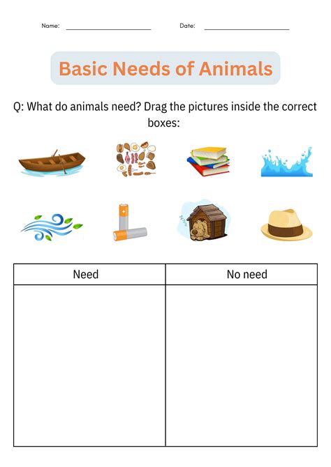 Basic Needs of Animals Activities - Taking Care of Animals Worksheet ...