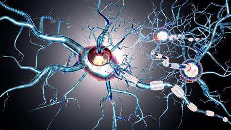 Study suggests potential of new therapy for progressive multiple sclerosis | OHSU News