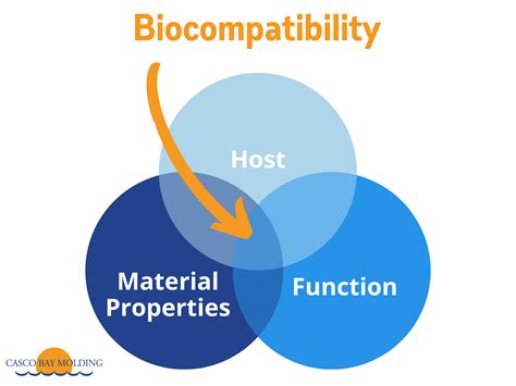 Biocompatibility Definition and 15 Material Examples