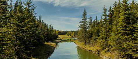 Sightseeing in Red Deer Alberta - Travel Agency