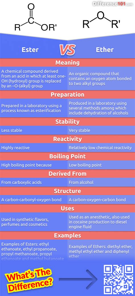 Ether vs. Ester: 9 Key Differences, Definition, Examples | Difference 101