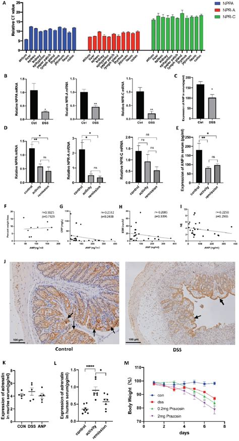 Expression of atrial natriuretic peptide (ANP) and its receptor in ...