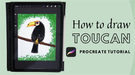 Toucan tutorial