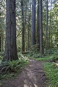 Category:North Umpqua River Trail - Wikimedia Commons