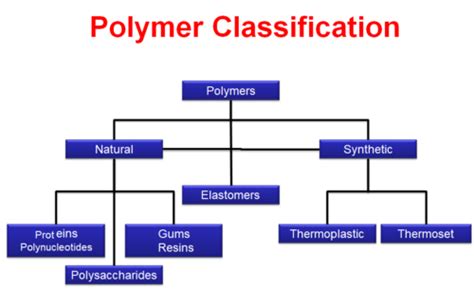 Polymers - Questions Flashcards | Quizlet