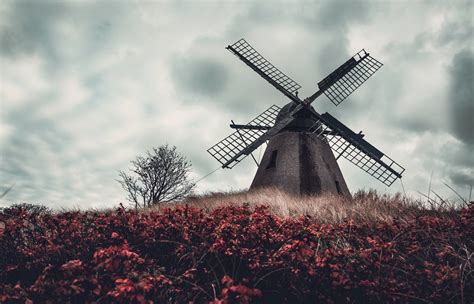 Download Plant Fall Building Man Made Windmill HD Wallpaper