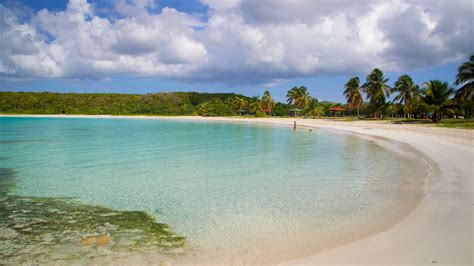 Caracas Beach, Vieques Vacation Rentals: house rentals & more | Vrbo