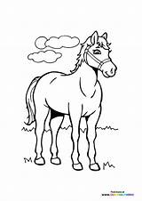Beautiful horse  Coloring Pages For Kids sketch template