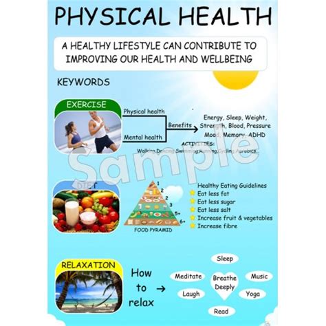 Physical Health Poster - Ashmore Learning Solutions