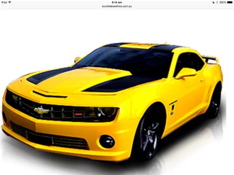 Bumble bees car | Camaro, Cool cars, Chevrolet camaro