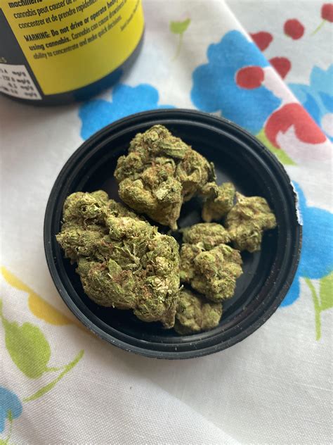 KUSH COOKIES 23.7% batch du 28/5, location snowdon 🤝🧚🏼‍♀️ 9/10 : r/sqdc