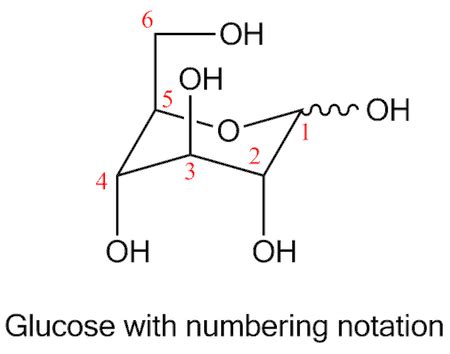 Glucose in Cellular Respiration | Overview & Purpose - Video & Lesson ...