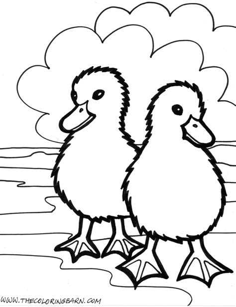 Farm animal coloring pages to download and print for free