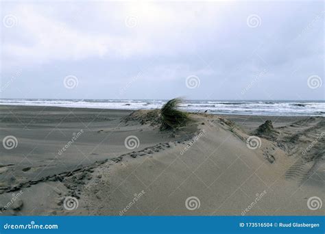 Storm on the North Sea Beach Stock Photo - Image of cutting, storm: 173516504