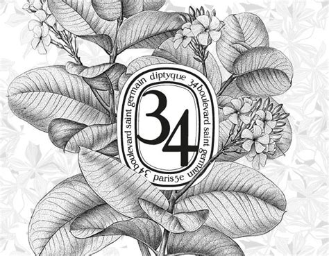 Diptyque,La Collection 34 | Victorian lettering, Book design, Creative agency