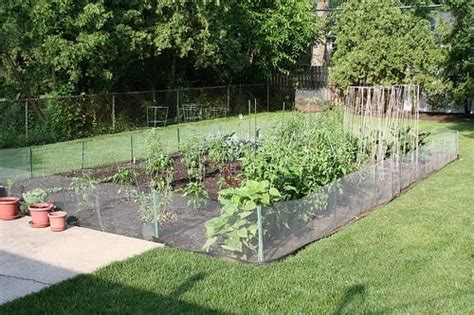 Fabulous Fences: DIY Vegetable Garden Fence