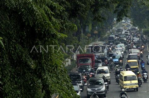 HUTAN KOTA | ANTARA Foto