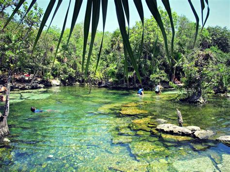 Cenote Azul in the Riviera Maya | Playa Del Carmen Blog