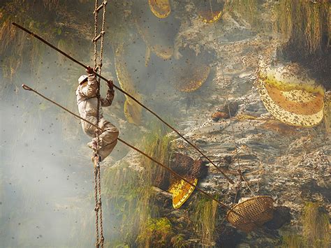 Braving Stings and Insane Heights With the Honey Hunters of Nepal | WIRED