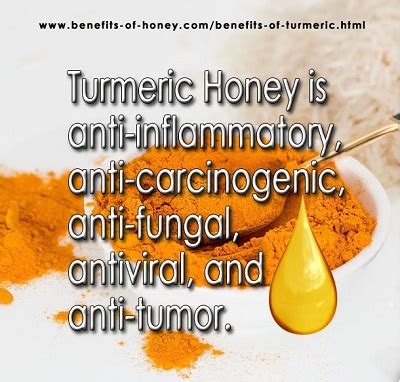 Top 15 Benefits of Turmeric and Honey [Golden Honey is #1 Natural Antibiotic]