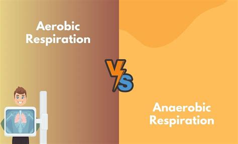 Aerobic Respiration Vs. Anaerobic Respiration - What's the Difference (With Table)