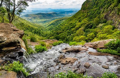 another view from the top of Moran's Falls, Lamington Nati… | Flickr