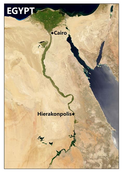 Caligrafía leopardo Maduro hierakonpolis map perdonar Júnior Novelista