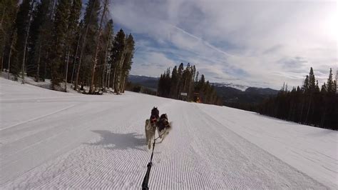 Skijoring Breck Ski Resort - YouTube