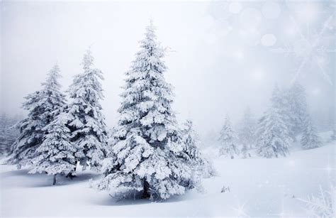 Christmas Winter - - Yahoo Image Search Results | Winter desktop background, Winter landscape ...