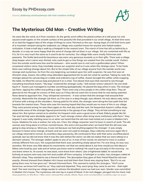 The Mysterious Old Man - Creative Writing Essay Example - PHDessay.com