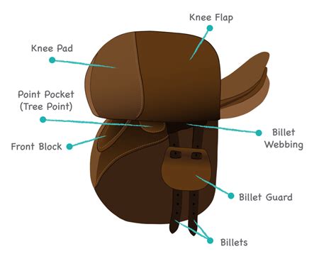 Identify Horse Saddle Types Play the Name the Saddle Parts Game