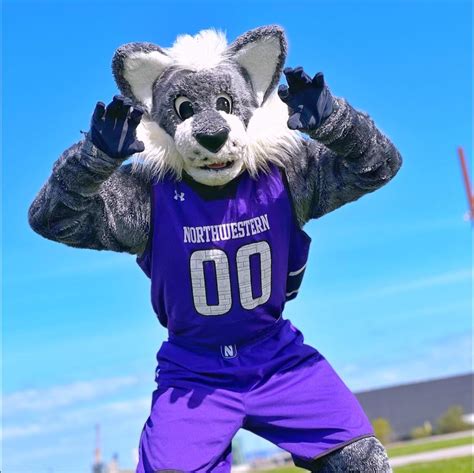 Northwestern University Wildcats Full Color Outside, 52% OFF