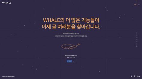 Work - NAVER NAVER Whale Website Launching