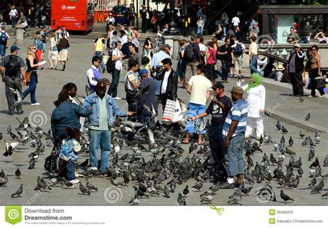 Feeding pigeons in London editorial stock photo. Image of pigeon - 25938203