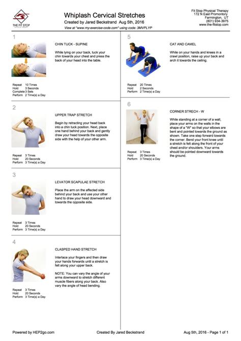 Exercises for whiplash neck pain | Fit Stop Physical Therapy