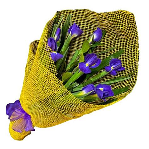 Iris Bouquet new-zealand | Gift Iris Bouquet- FNP