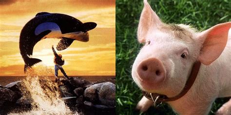 10 Best Movies Where The Protagonist Is A Live-Action Animal, Ranked By ...