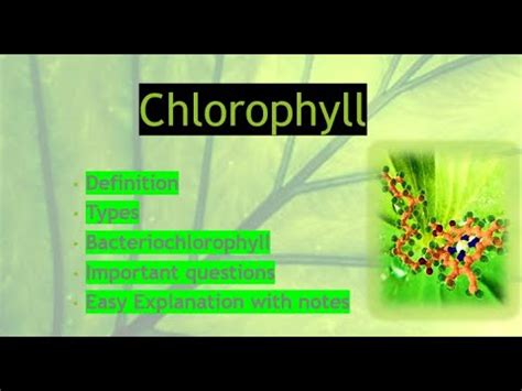 Chlorophyll a,b/Structure/Types/Bacteriochlorophyll/Examples/Difference/notes/Easy explanation ...