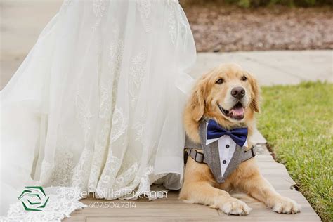 Elegant November Wedding | Caitlin and Keaton at Reunion Resort - Just Marry!