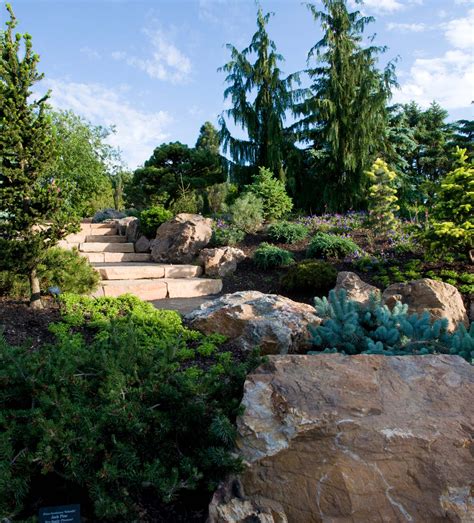 Chicago Botanic Garden, Dwarf Conifer Garden - Featherstone Project ...