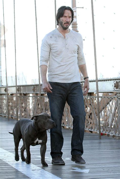 Keanu Reeves not sad and with a dog on the set of John Wick 2 in NYC ...