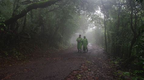 Monsoon getaway | Amboli, in Maharashtra’s Western Ghats, is a popular ...