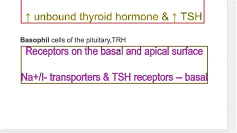 TSH Antibodies, TSH Receptors, TSH functions - YouTube