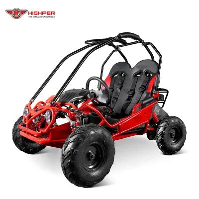 Gas Go Karts for Adults Buggy Car - China Gocart and Gas Go Karts for ...