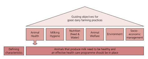 Guide to good dairy farming practice: Animal health | The Dairy Site