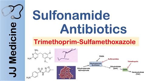 Sulfonamide Antibiotics | Bacterial Targets, Mechanism of Action ...