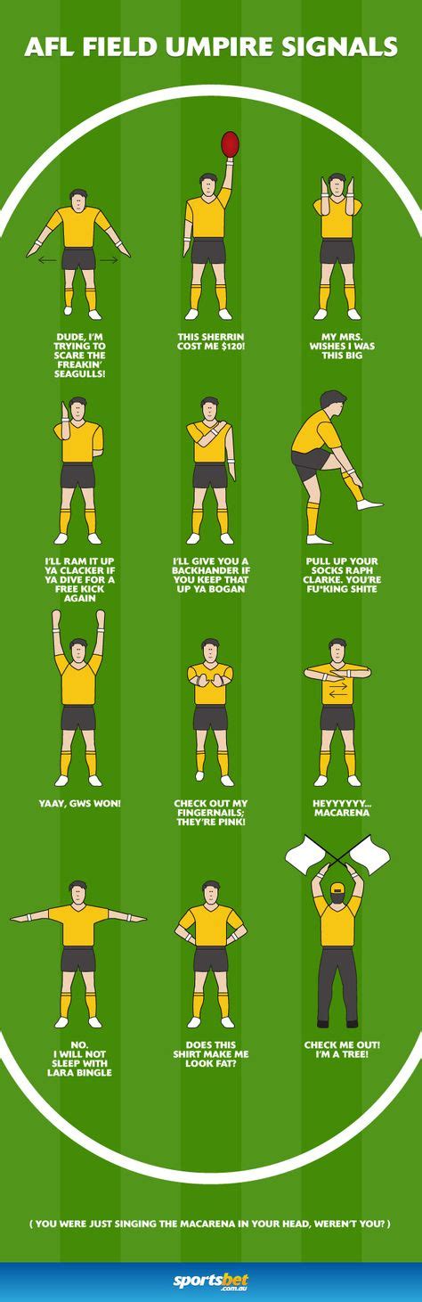 AFL Umpire Signals - Infographic - Sportsbet.com.au | Afl, Infographic