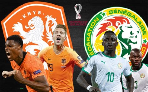 Senegal vs Netherlands: Prediction, Head to Head, Time, Possible Line up, Players to Watch, Team ...