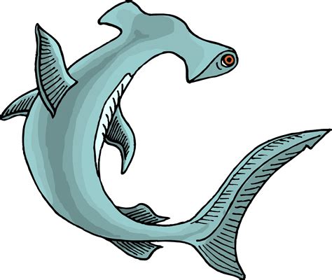 Hammerhead Shark Cartoon - Cliparts.co