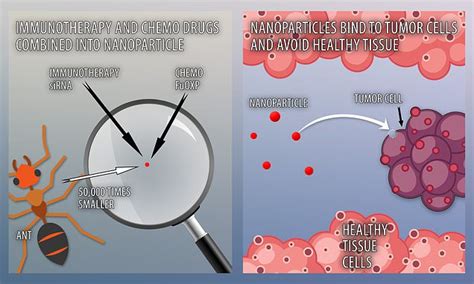 Potential cancer breakthrough as scientists develop 'nanodrug' that delivers chemo to tumors ...